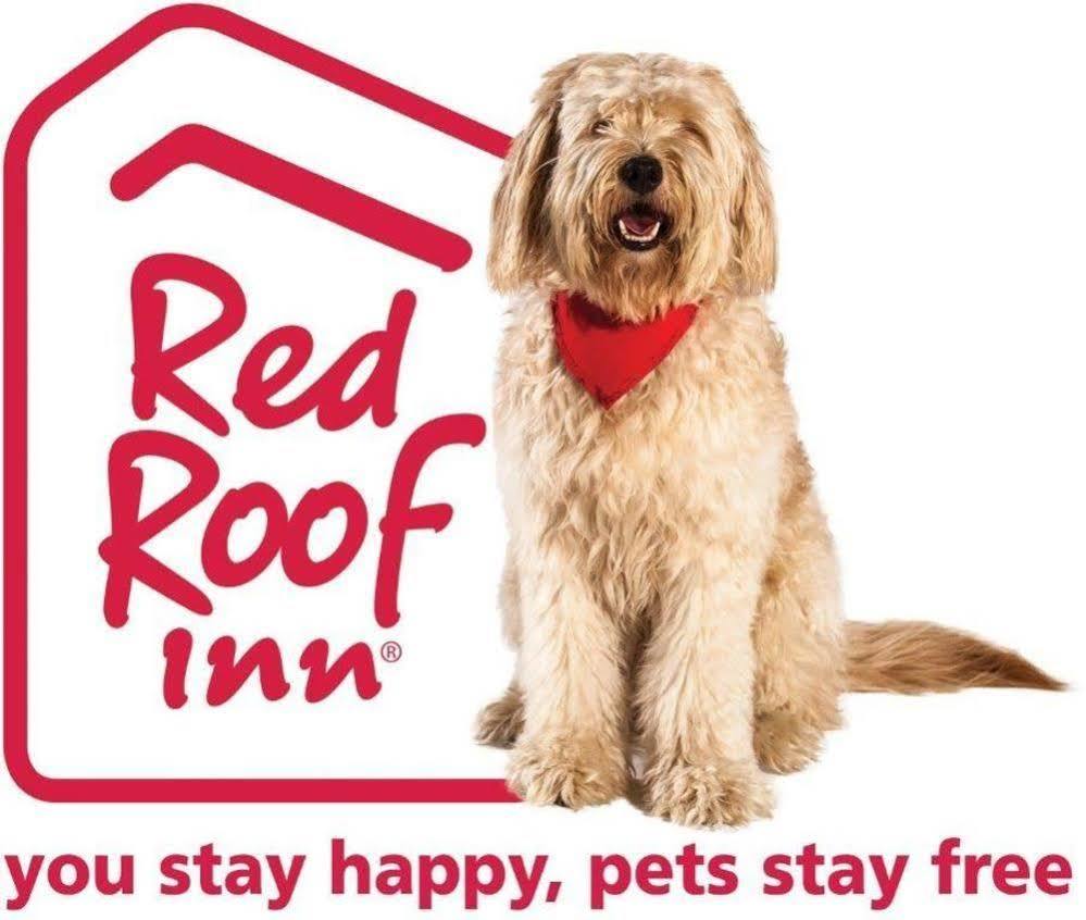 Red Roof Inn Portland Exteriör bild